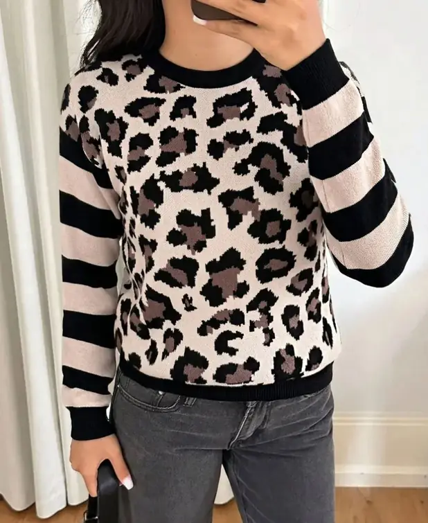 Leopard graphic sweater with stripe sleeves